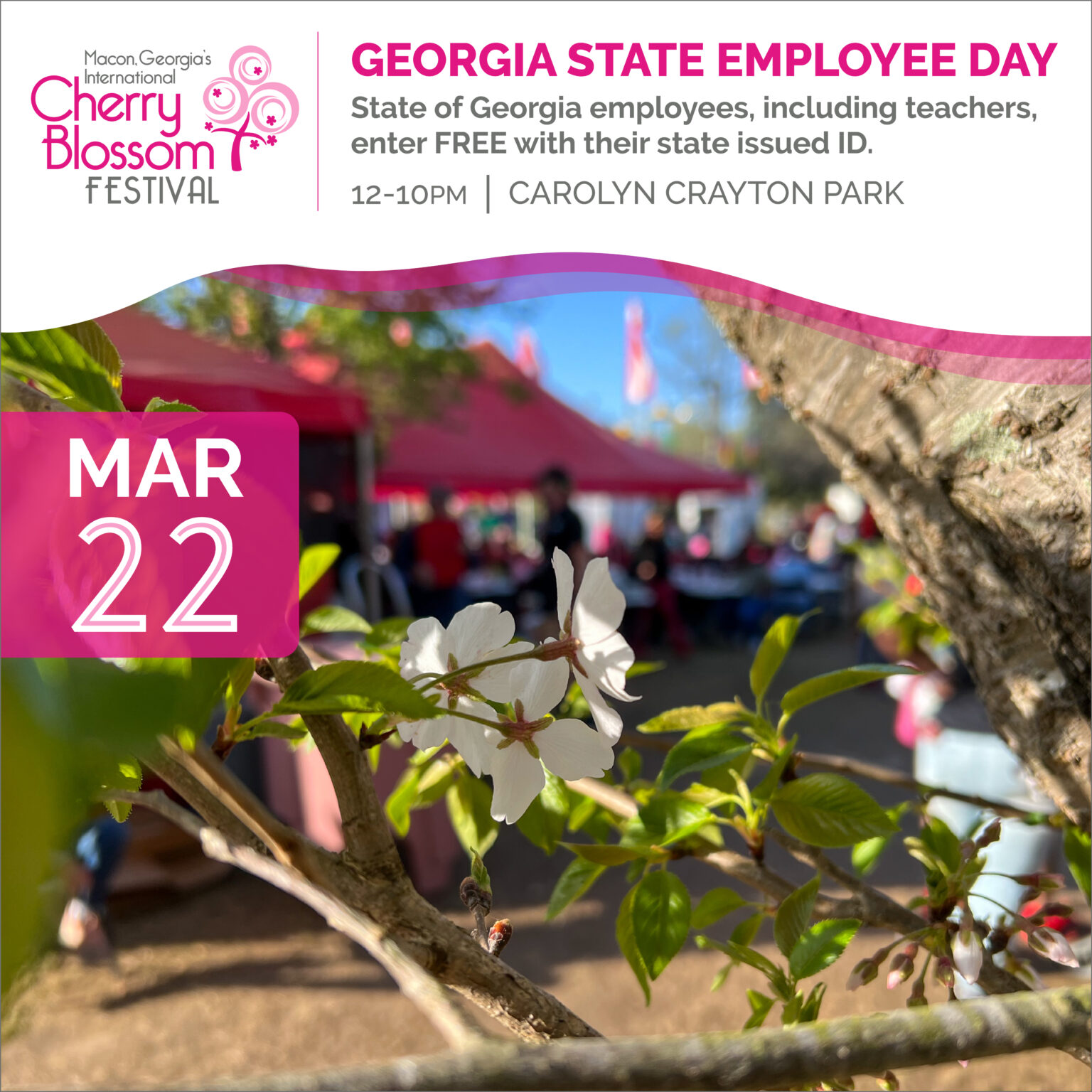 State Employee Day Cherry Blossom Festival